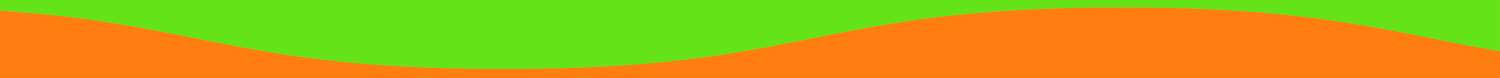 border-green-to-orange